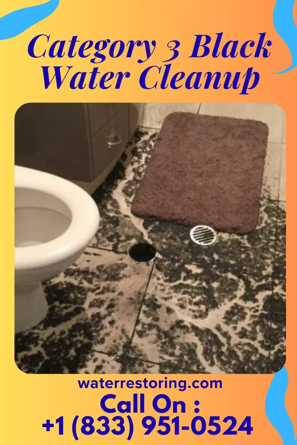 Category 3 Black Water Cleanup in Canoe Creek, PA