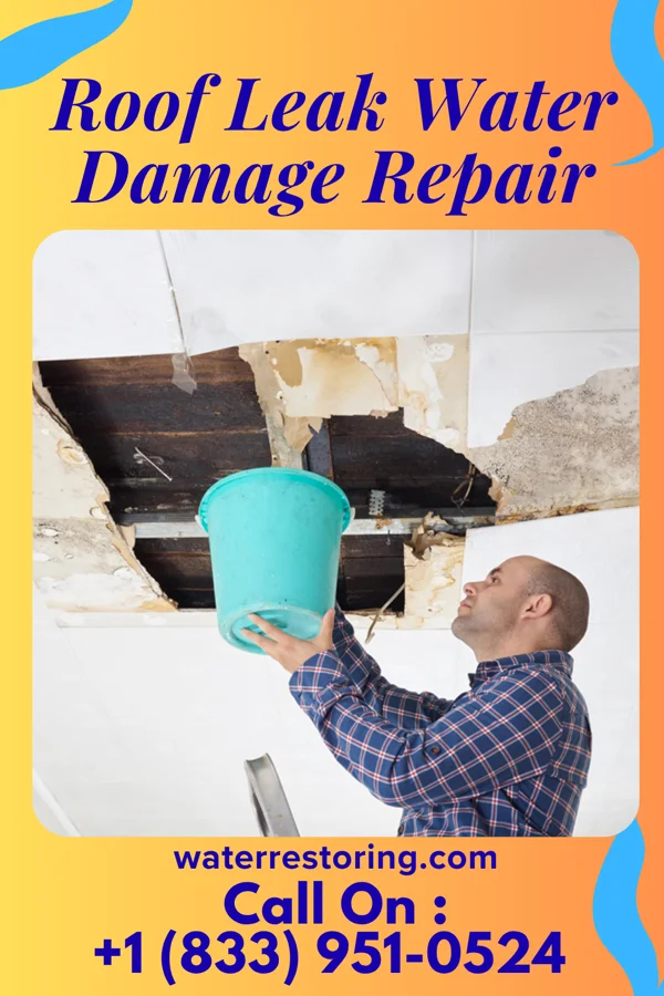 Roof Leak Water Damage Repair in Canoe Creek, PA