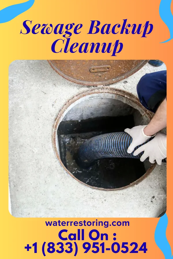 Sewage Backup Cleanup in Canoe Creek, PA