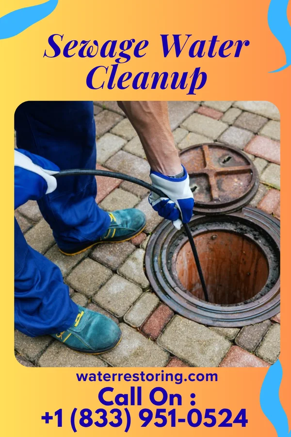Sewage Water Cleanup in Canoe Creek, PA