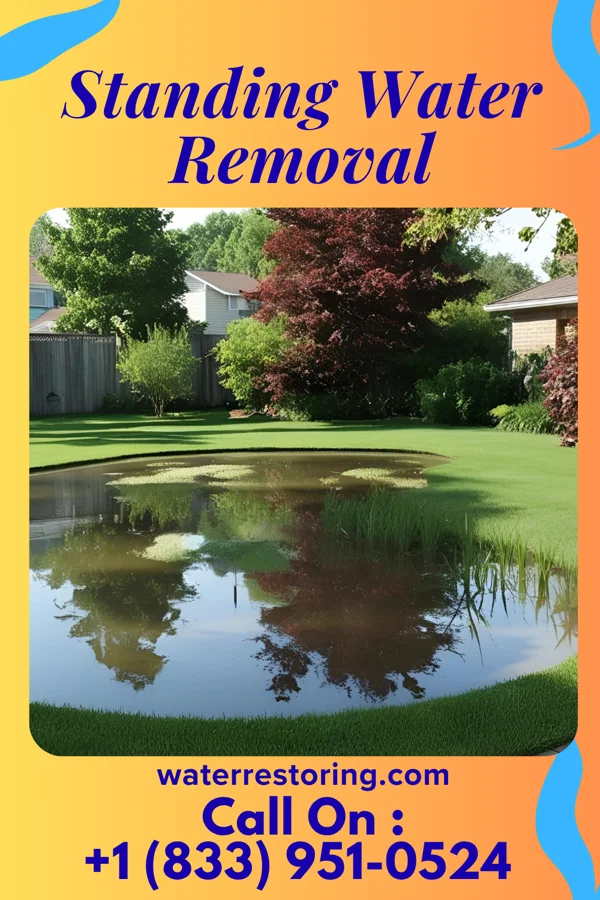 Standing Water Removal in Canoe Creek, PA